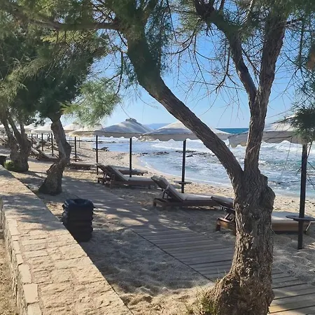 Zoi's Seaview Garden Near The Vila Hersonissos (Crete)