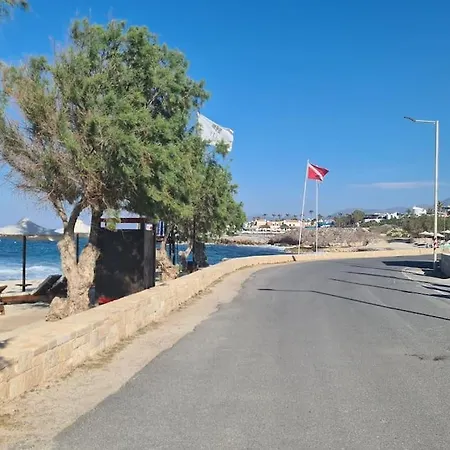 Zoi's Seaview Garden Near The Vila Hersonissos (Crete)